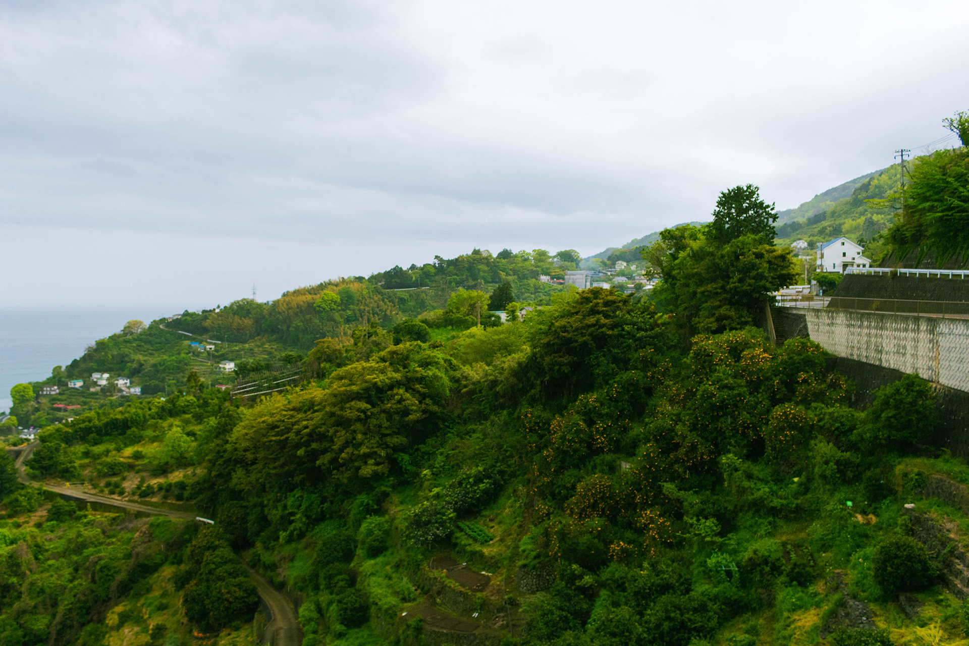Winding hills with lush vegetation.